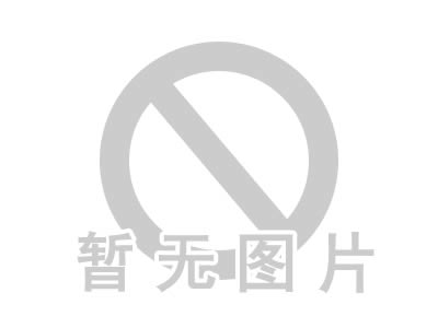 國家重點建設項目